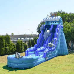 Dolphin 19 ft Slide (WET or DRY)