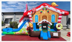 Candy20Cottage20NEW202 1707159648 Candy Cottage Bounce House With Slide (WET or DRY)