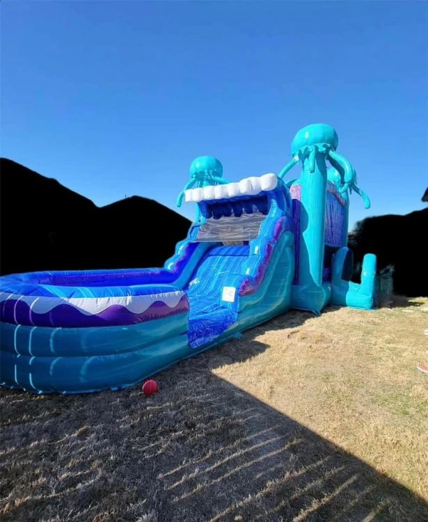 Fun and reliable water slide rentals in McKinney, Texas for fun-filled events